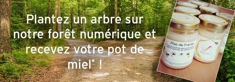 Bandeau blog emailing rapport et pot de miel_762px